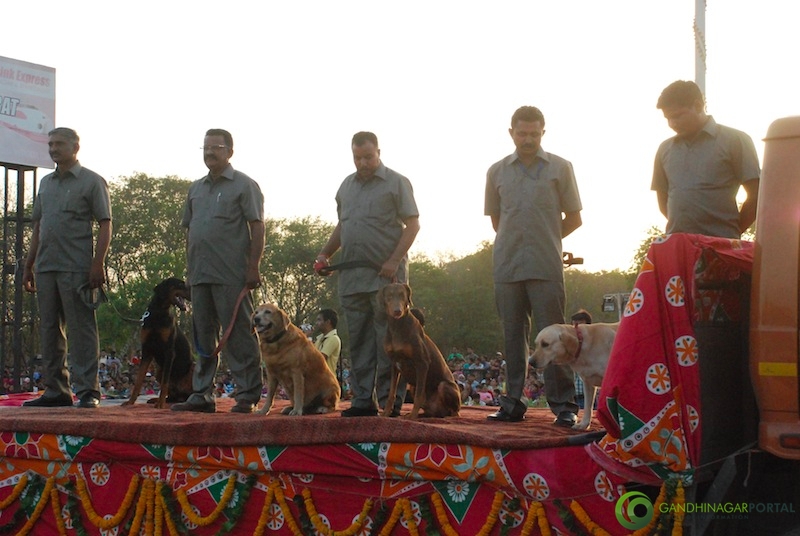 53rd Gujarat Sthapana Divas 2013 : Dog Squad