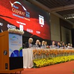 Industrialists and Partner Countries Delegates at 6th Vibrant Gujarat Global Summit 2013- Mahatma Mandir, Gandhinagar
